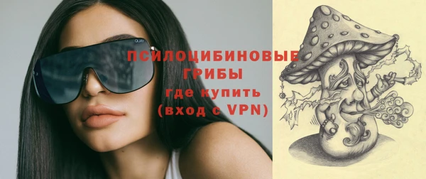 винт Абаза