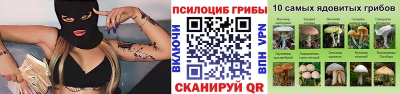 Галлюциногенные грибы мухоморы  ссылка на мегу рабочий сайт  Дивногорск  где купить наркотик 
